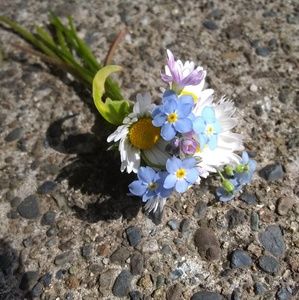 Meet your Posher, Marisol